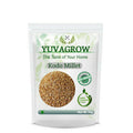 Yuvagrow Kodo Millet