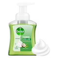 Dettol Aloe Coconut Foaming Handwash 250ml Moisturizing Cleanser