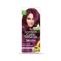 Garnier Color Naturals Plum Red Hair Dye 6.26 Long-Lasting Shine 105ml