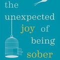 The Unexpected Joy of Being Sober: Discovering a Happy, Healthy, Wealthy Alcohol-Free Life