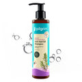 Pilgrim Spanish Rosemary Anti-Hairfall Shampoo (GTM)