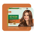 Streax Ultralights Highlighting Kit Soft Golden Blonde 60g