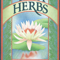 Herbal Healing Guide for Yoga Enthusiasts