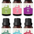 AIR-ROMA Aroma Oil Set 6-Pack: Lemongrass, Rose, Jasmine, Apple, Ocean, Ginger