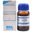 SBL Homeopathy Berberis Vulgaris Mother Tincture Q