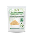 Yuvagrow Dried Ginger Powder