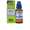 SBL Homeopathy Caladium Seguinum Dilution