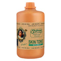 Shahnaz Husain Professional Power Skin Tonic