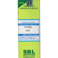 SBL Homeopathy Thymol Dilution - Limited Time Offer