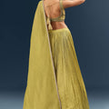 Citrus Green Banarasi Silk Bridesmaid Lehenga With Delicate Hand Embroidery