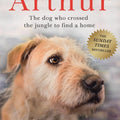 Arthur: The Dog Who Crossed the Jungle to Find a Home
