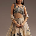 Grey Lurex Glitter Lehenga With Organza Dupatta