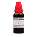 Dr. Willmar Schwabe India Ficus Indica Mother Tincture Q - Limited Time Offer