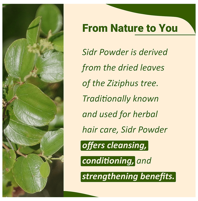 Minature Sidr Powder