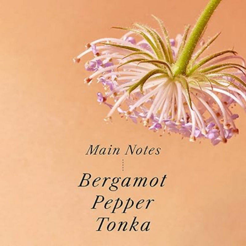 La'dor Hinoki Perfumed Post Wash Korean Hair Oil Serum