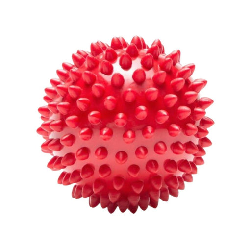The Dogs Company Natural Rubber Spiked Ball Dog Chew Toy