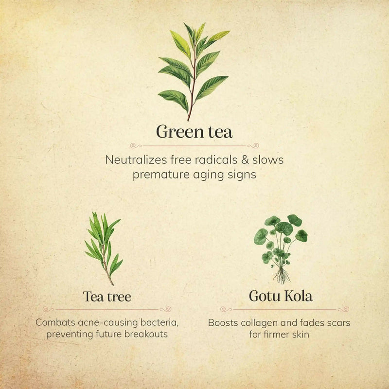 Chengavi Gotu Kola & Green Tea Face Wash