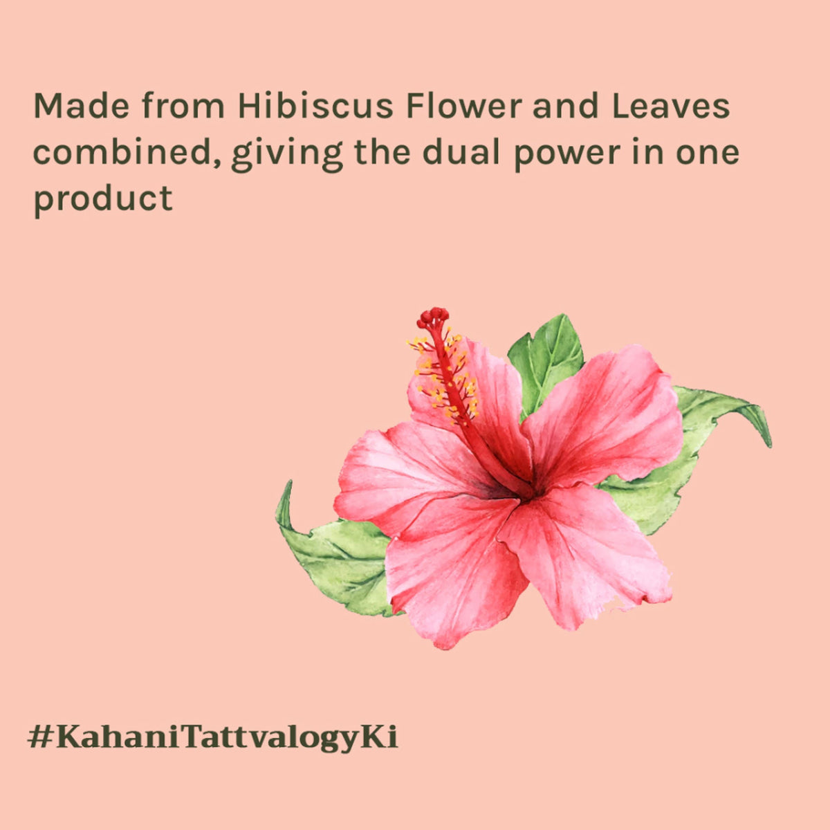 Tattvalogy Hibiscus Powder-Strengthens Hair Follicles, Anti-Aging Pack for Natural Skin & Hair Care