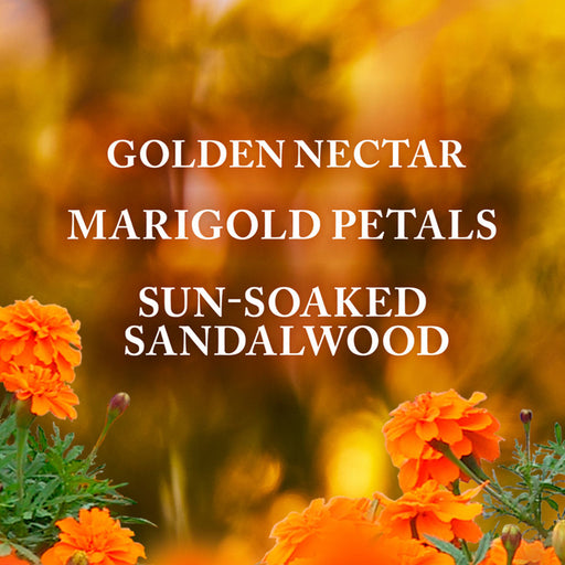 Bath & Body Works Gingham Glow Ultimate Hydration Body Cream