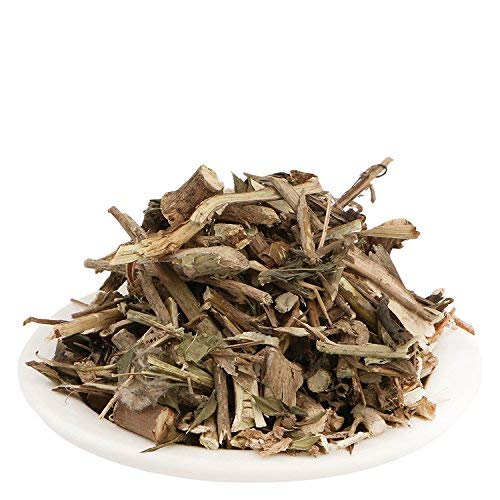 Yuvika Bansa Kala - Adhatoda Vasica Nees - Malabar Nut Tree