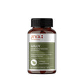 Jiva Giloy Capsules 60ct - Natural Digestion & Immunity Boost Supplement