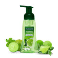 Palmolive Lime & Mint Foaming Hand Wash 250ml Germ-Fighting Refreshing
