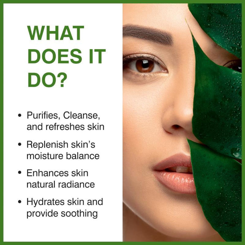 She Essentials Aloe Vera Hydrating Face Wash For All Types Of Skin