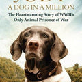Judy: A Dog in a Million: From Runaway Puppy to the World's Most Heroic Dog