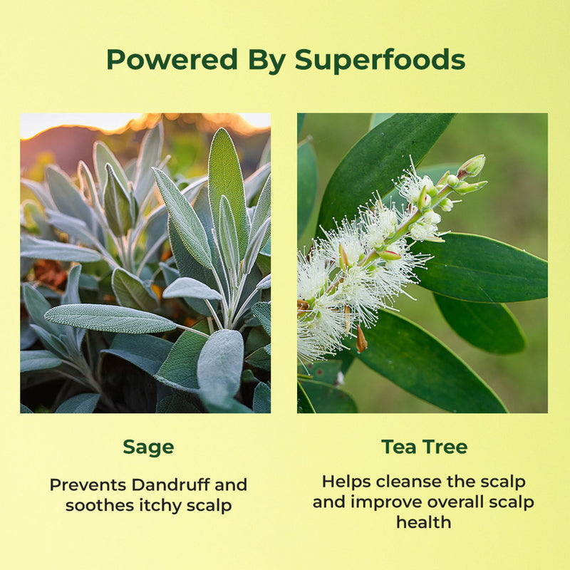 Naturali Anti-Dandruff Scalp Serum with Sage,Tea Tree Oil & Salicylic Acid