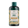 The Body Shop Ginger Shampoo | Anti-Dandruff | Vegan - BeautyGlow