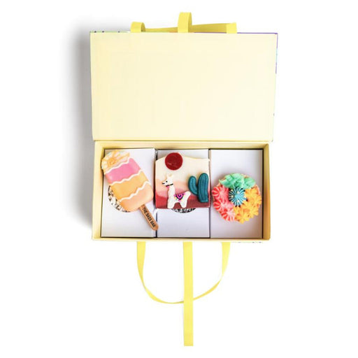 The Sass Bar Llama Desert Soap Box