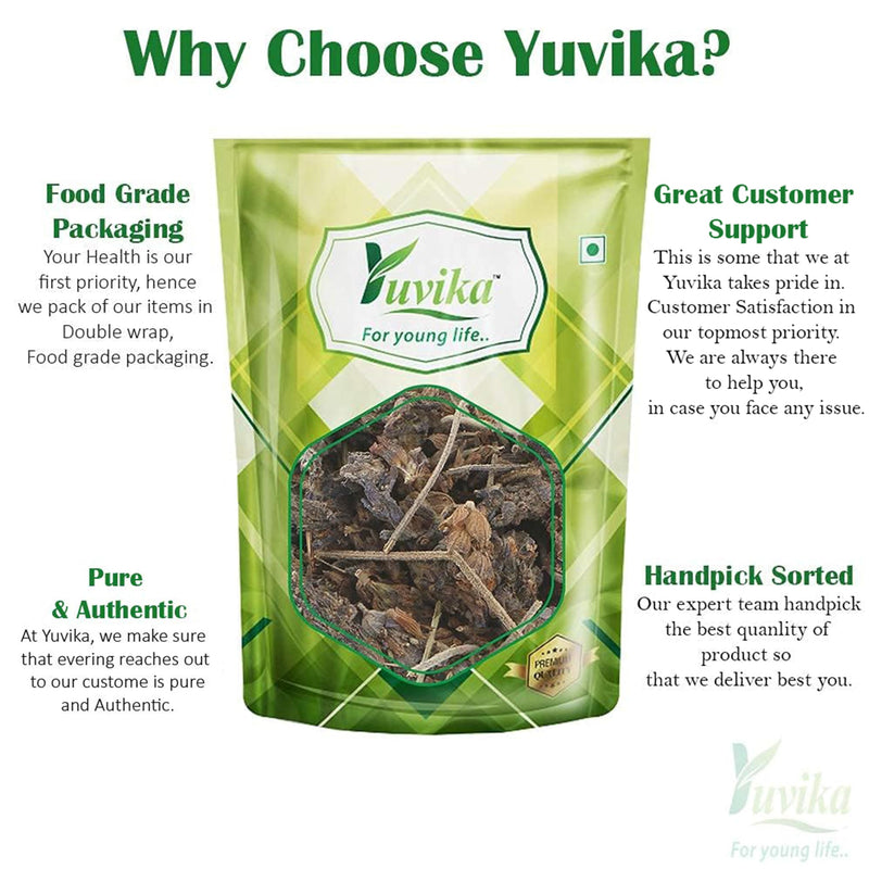 YUVIKA Ustekhadoos Asli | Uste Khadus - Lavandula Stoechas - Arabian Lavende