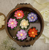 Satyam Kraft LED Floating Lotus Candles Set of 6 - Smokeless & Flameless Decor