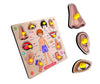 Lefan Wooden Body Puzzle Toy for Kids 3+ Educational Jigsaw Game
