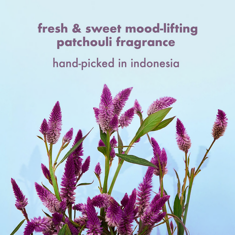 Love Beauty And Planet Onion Blackseed & Patchouli Hair Fall Control Sulfate Free Shampoo & Conditioner