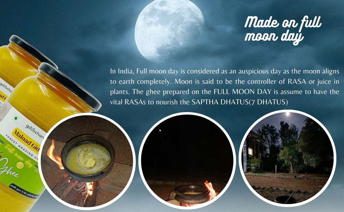 Gorochana 100% Source Traceable Desi Malnad Gidda A2 Full Moon Day Bilona Cow Ghee | Pure Ghee | Organic Ghee - Limited Time Offer
