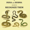 The Common Snakes of India and Burma and how to Recognize them - Gyan Books