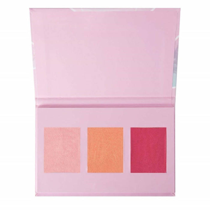 Wet n Wild Coloricon Blush Palette