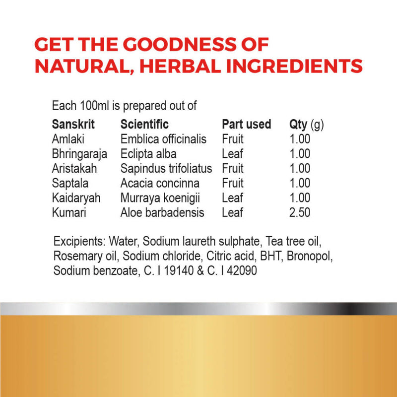 Kp Namboodiri's Ayurvedic Anti Dandruff Shampoo