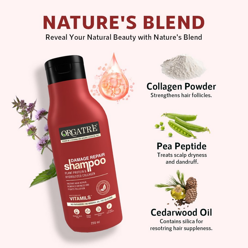 Orgatre Damage Repair Shampoo For Women & Men For Rough Dull & Damaged Hair With Protein & Hydrolyzed Collagen