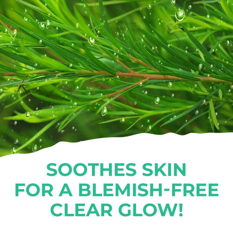St. Ives Clear Glow Tea Tree Micellar Water