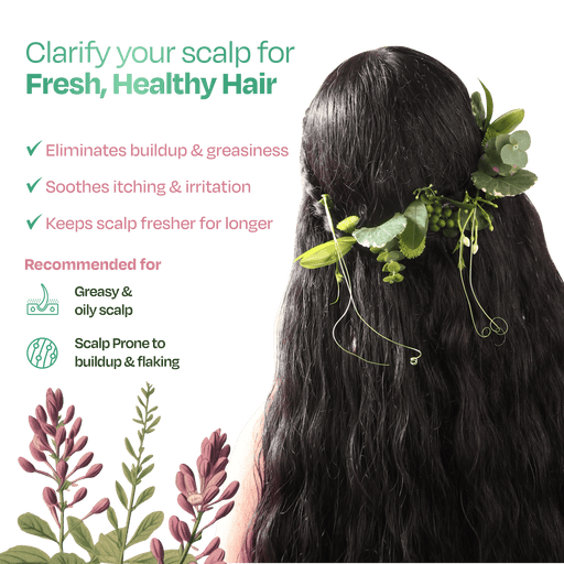 Sacred Grove Licorice & Peppermint Deep Clean Scalp Mask