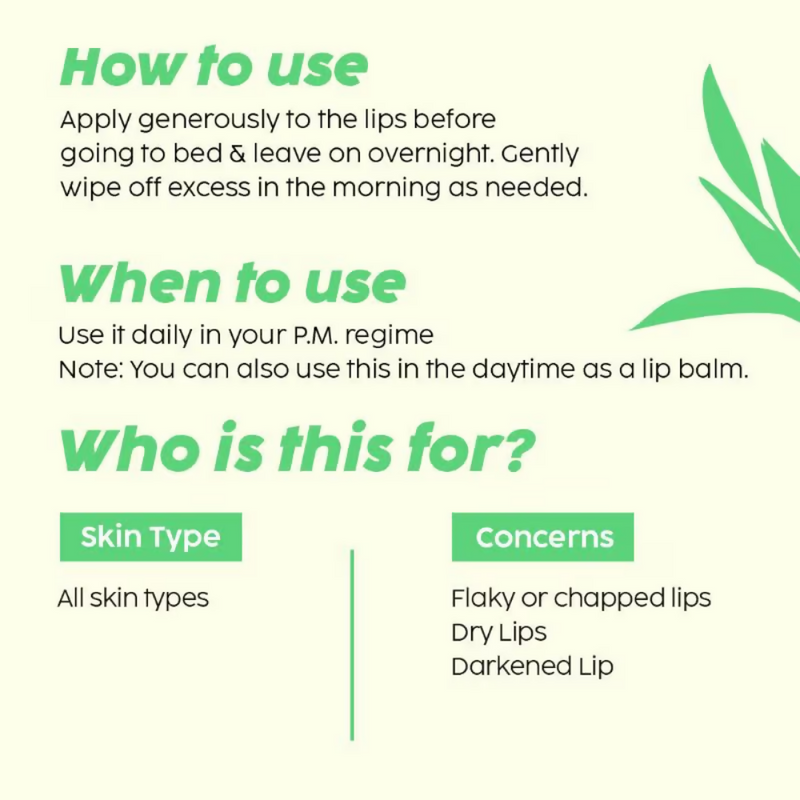 PLIX The Plant Fix Pomegranate Plump Lips Puddin’ Mask for Dry Lips With Chiuri Butter + Vit C