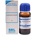 SBL Homeopathy Plantago Major Mother Tincture Q