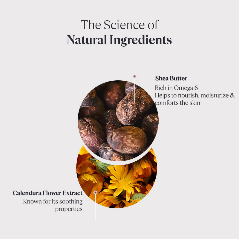 L'Occitane Moisturizing 15% Shea Butter Body Rich Lotion