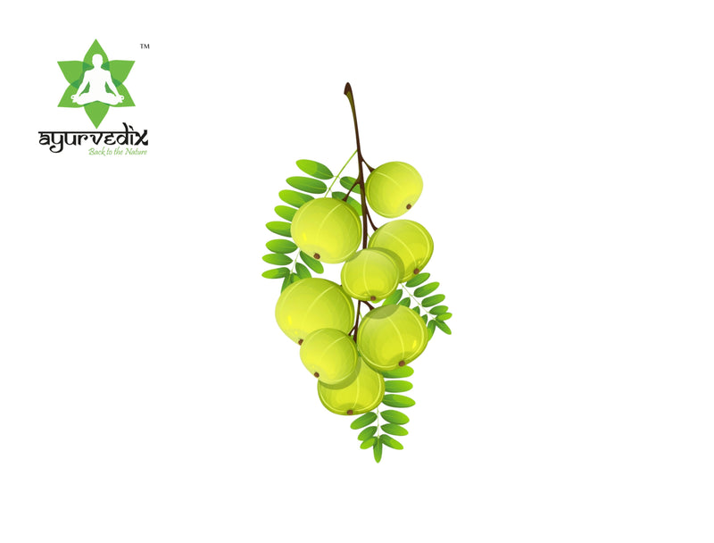 Ayurvedix Organic Amla Powder