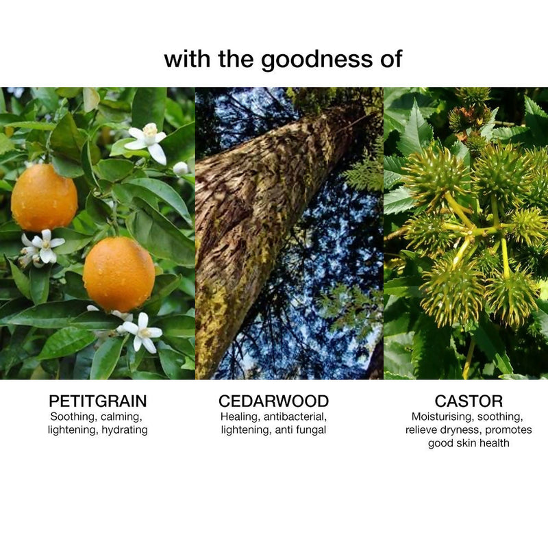 Skog Cedarwood Petitgrain Body Oil