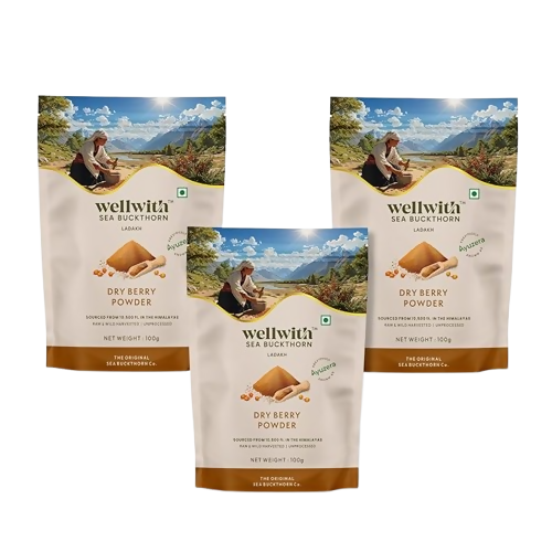 Wellwith Himalayan Sea Buckthorn Dry Berry Powder
