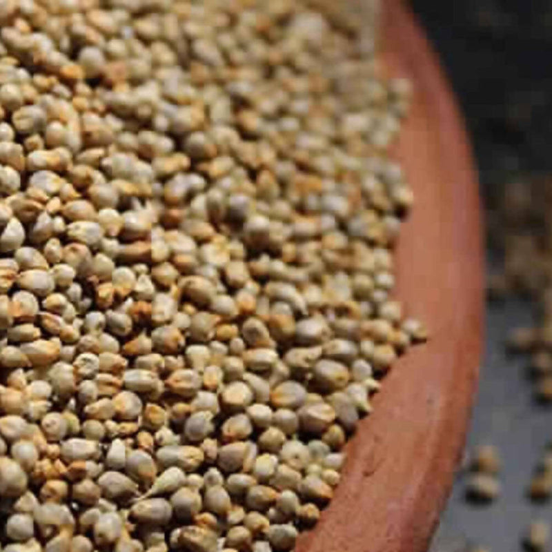 Freshon Pearl Millet - Natural