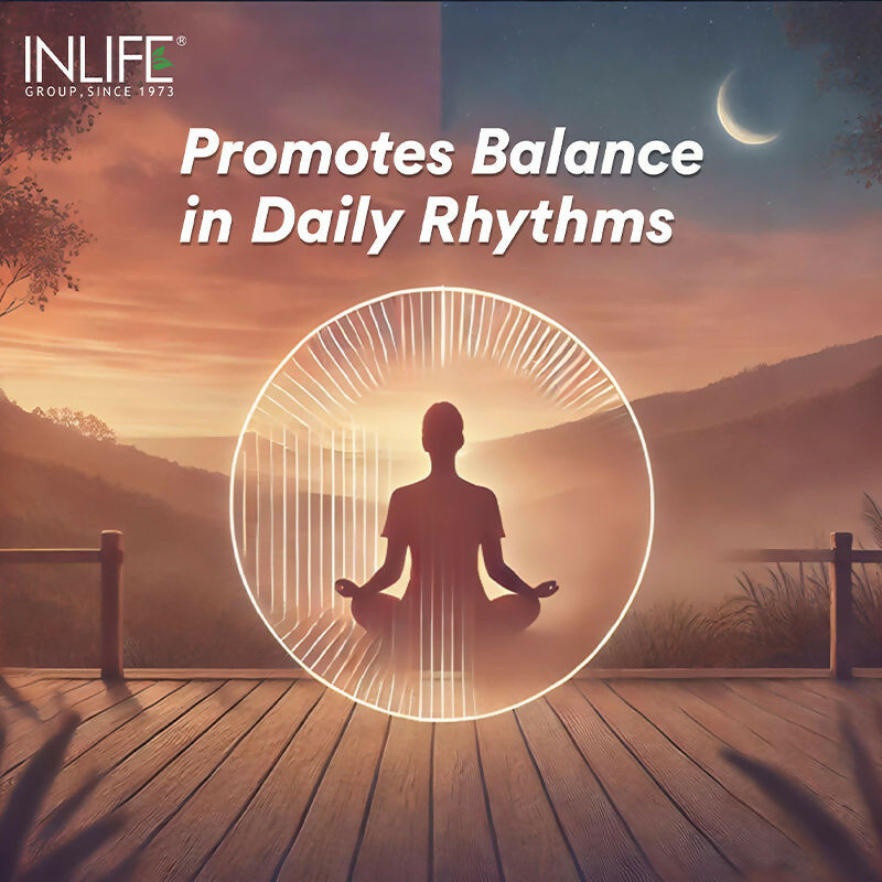 Inlife Melatonin 5mg Tablets to Promotes Sleep and Relaxation